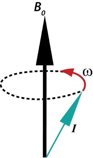 Le spin I précesse autour du champ magnétique B₀ à la vitesse angulaire ω.