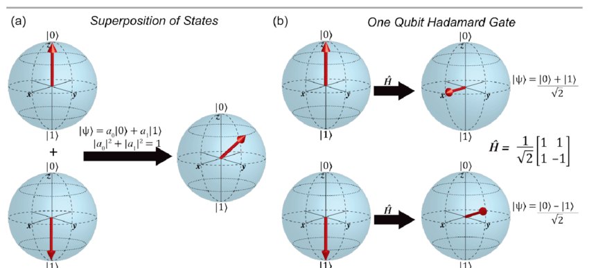 (a) Superposition d'états : |ψ⟩ = a|0⟩ + b|1⟩ sur la sphère de Bloch. (b) Une porte de Hadamard envoie |0⟩ vers (|0⟩ + |1⟩)/√2 et |1⟩ vers (|0⟩ − |1⟩)/√2.