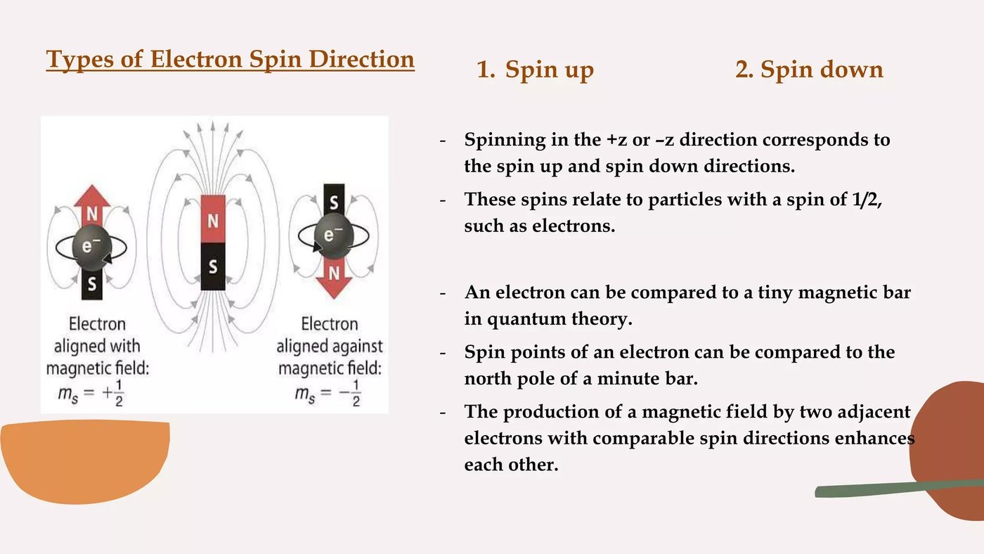 Les deux directions du spin de l'électron, spin up et spin down : l'électron se comporte comme un minuscule barreau aimanté, aligné avec le champ magnétique ou contre lui.